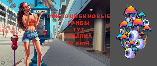 ешки Медногорск