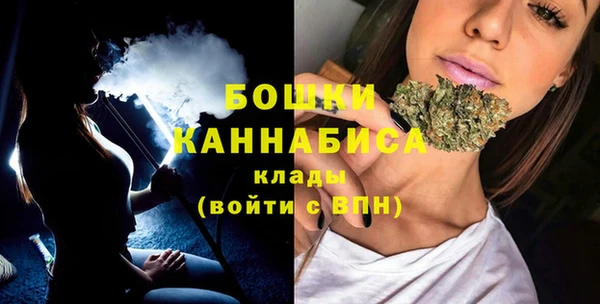 ешки Медногорск