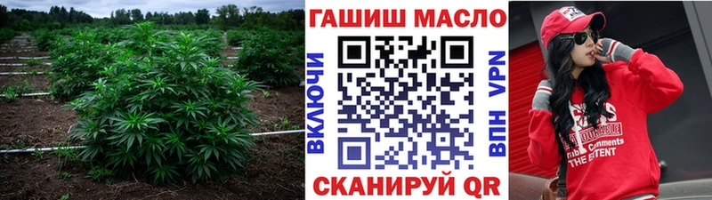 дарнет шоп  гидра ТОР  ТГК вейп с тгк  Чаплыгин 