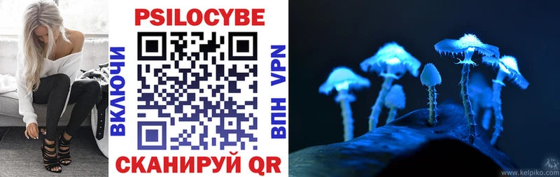 как найти закладки  Чаплыгин  Галлюциногенные грибы Cubensis 